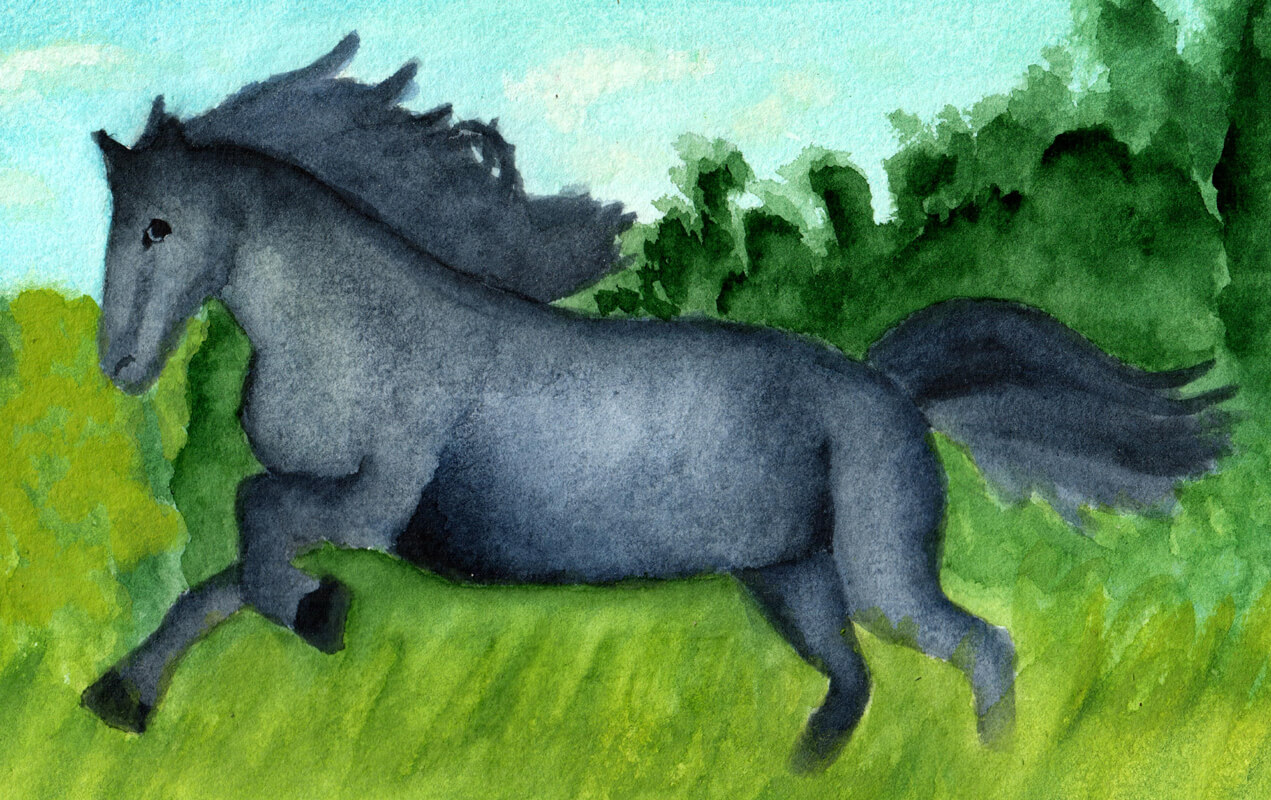 Black Horse | Ganderful